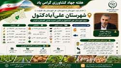  سهم شهرستان علی آباد کتول در تأمین امنیت غذایی گلستان و ایران